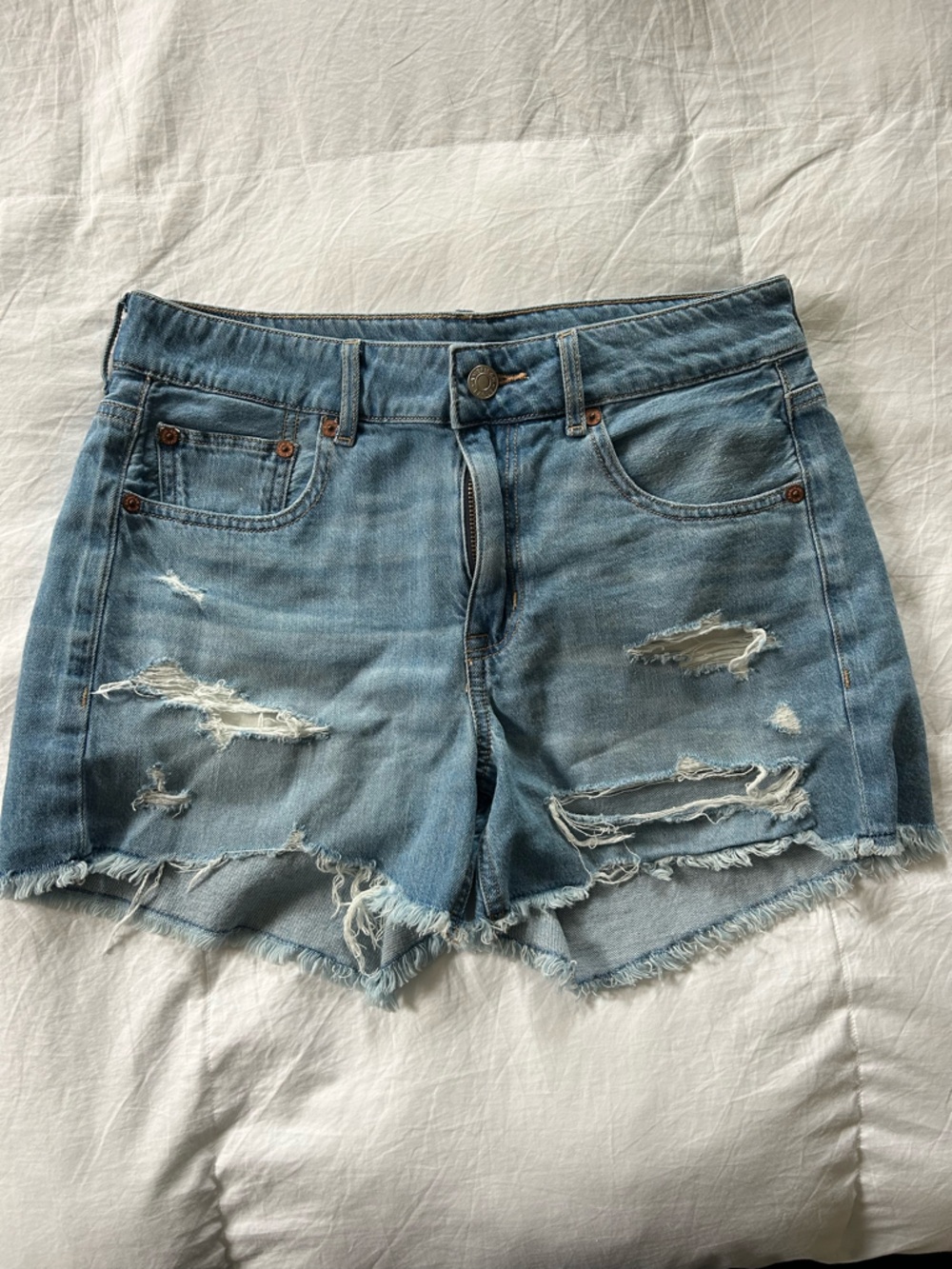 American Eagle Outfitters Distressed Light Blue Denim Jean Shorts
